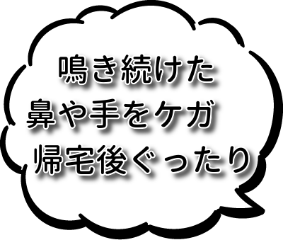 ケージ問題点2.png