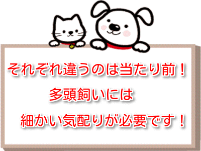 tatougai.gif
